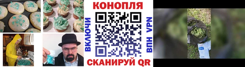 Canna-Cookies марихуана  Новосокольники 