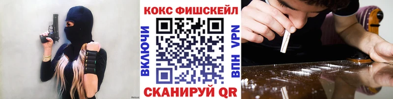 COCAIN Fish Scale ОМГ ОМГ как зайти Новосокольники