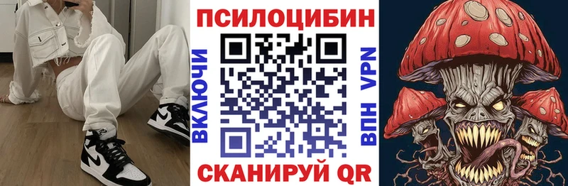 цена наркотик  Новосокольники  Галлюциногенные грибы Psilocybine cubensis 