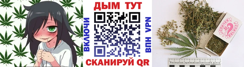 Каннабис конопля  как найти закладки  Новосокольники 